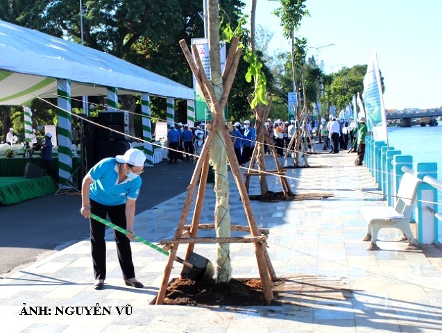 Bình Thuận phát động trồng cây xanh nhân ngày Môi trường thế giới