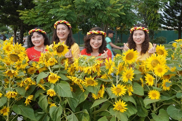 Dịp tết Quý Mão, du lịch Bình Thuận ước đón 140.000 lượt khách 