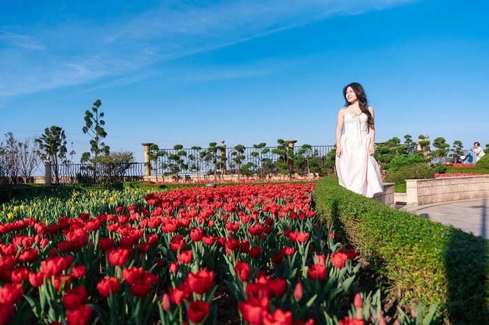 Tour Bà Nà Hills 1 ngày