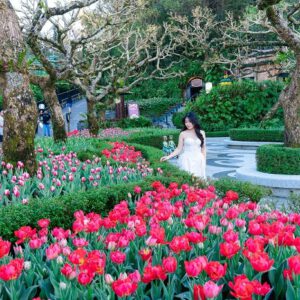 Tour Bà Nà Hills 1 ngày