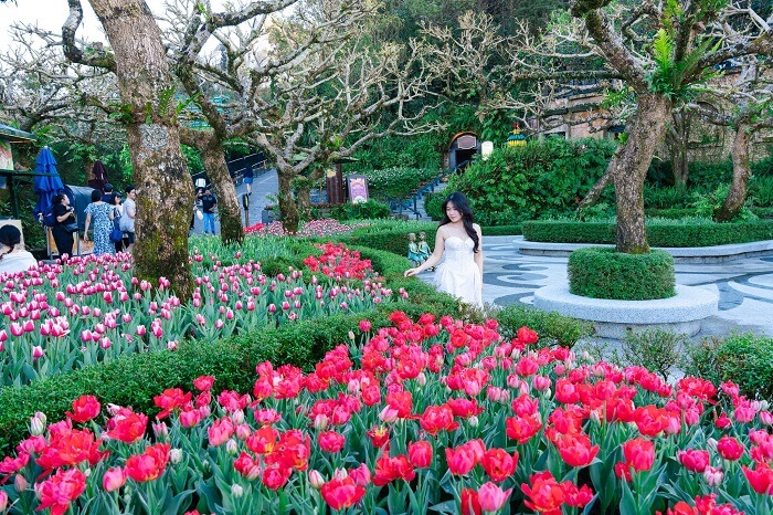 Tour Bà Nà Hills 1 ngày