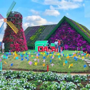 Tour Đà Lạt 1 ngày