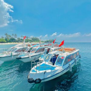 Tour Lý Sơn 2 ngày 1 đêm