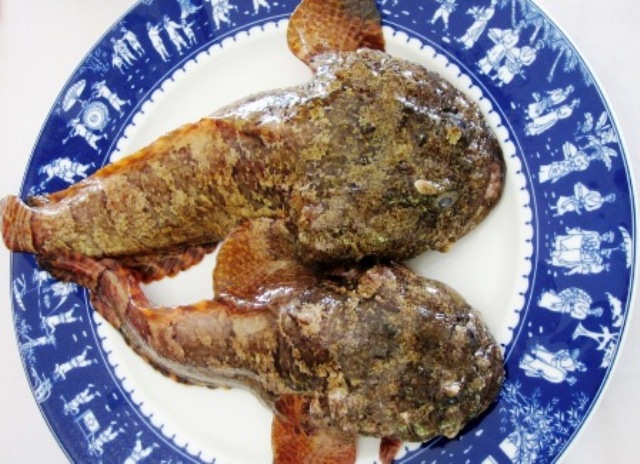 (Cá bùng binh, hay còn gọi là cá mao ếch; Ảnh: Nguyên Vũ)