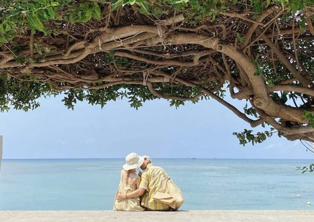 (Góc chụp từ Cây cô đơn; Ảnh: FBNV)