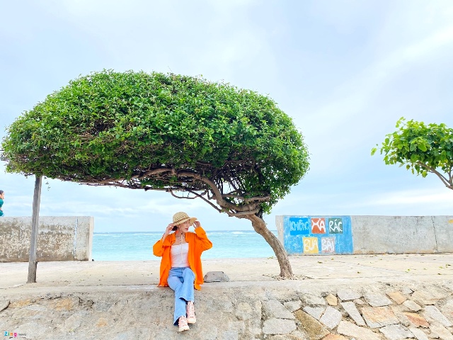 (Cây cô đơn là nơi nhiều bạn trẻ tìm đến lưu giữ khoảnh khắc)