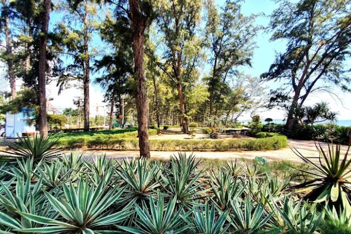 Công viên Đồi Dương