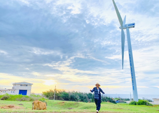 (Đồi điện gió ở đảo Phú Quý trong buổi hoàng hôn)