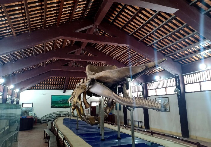 Du lịch đảo Phú Quý