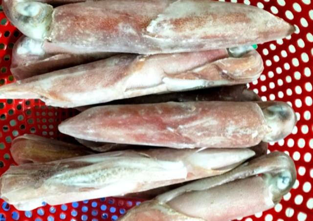 (Mực ống Phan Thiết; Ảnh: Nguyên Vũ)