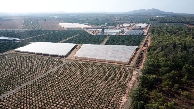 Trang trại Bình An xã Thuận Quý, huyện Hàm Thuận Nam 