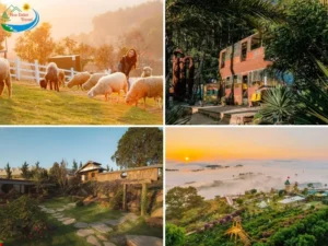 Đặt tour Đà Lạt 1 ngày tại Hoa Dalat Travel công ty du lịch Đà lạt uy tín từ 2015